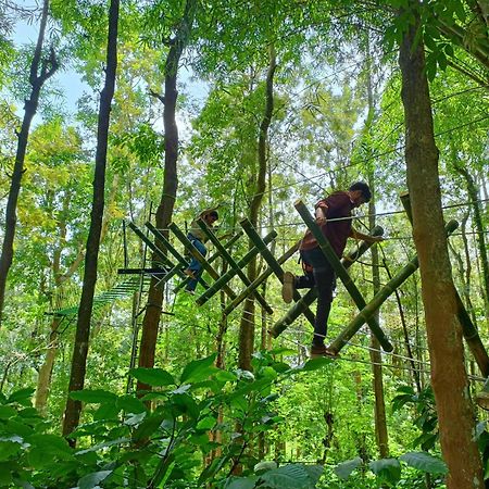 Adrak Mountain Mist Forest Resort Pulpally Extérieur photo