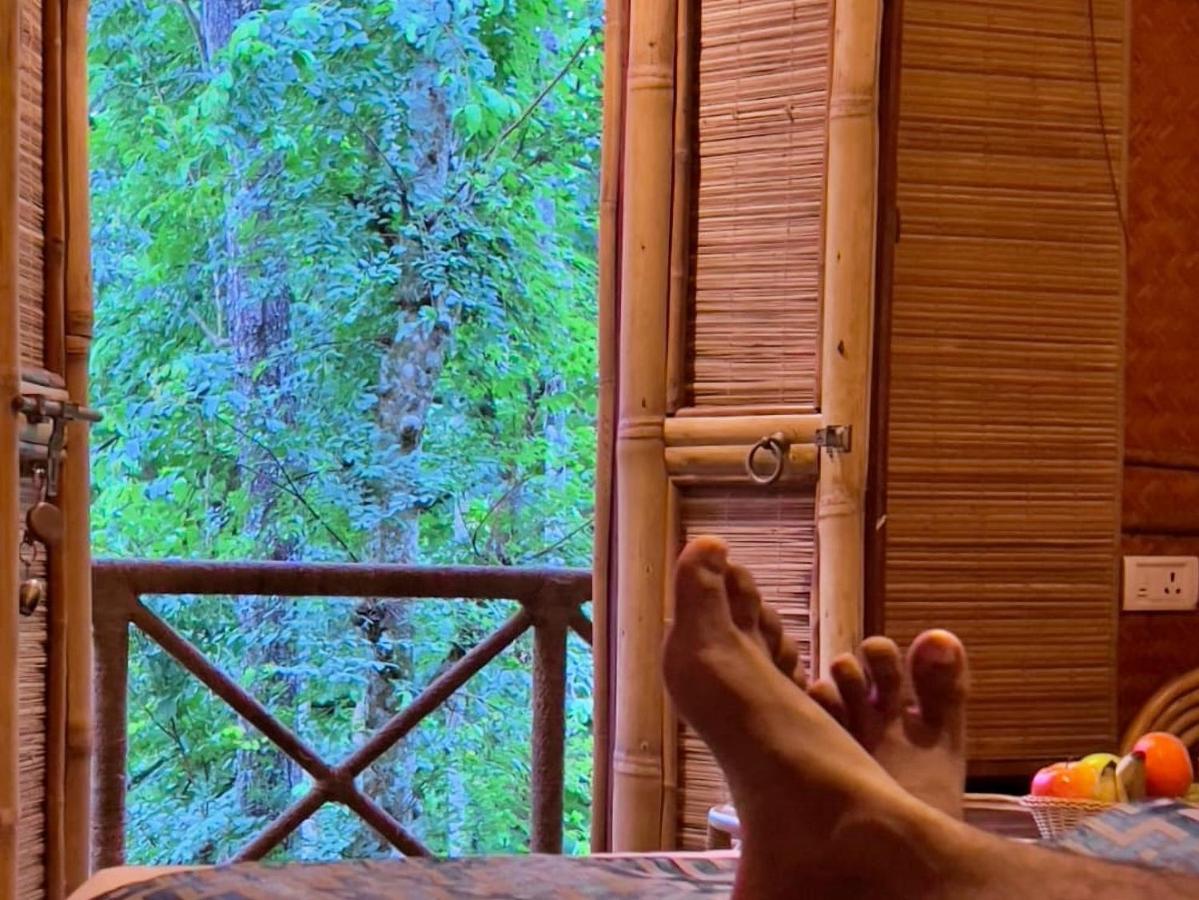 Adrak Mountain Mist Forest Resort Pulpally Extérieur photo