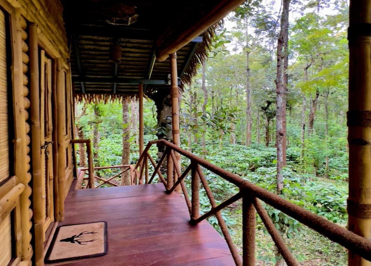 Adrak Mountain Mist Forest Resort Pulpally Extérieur photo