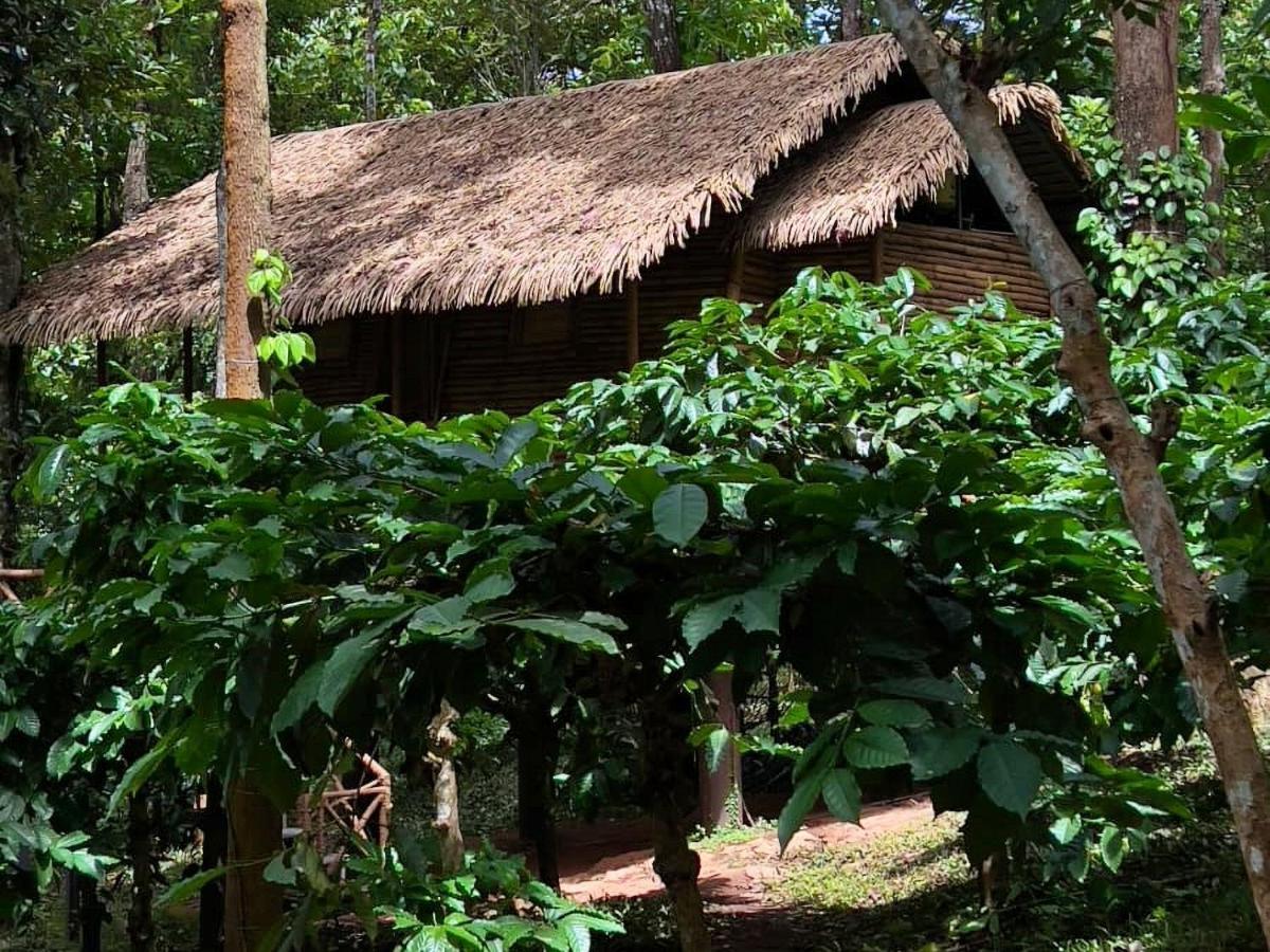 Adrak Mountain Mist Forest Resort Pulpally Extérieur photo