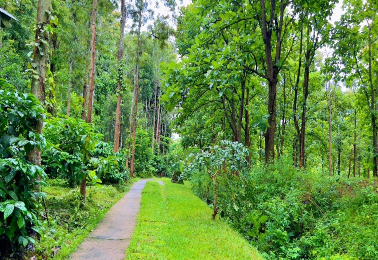 Adrak Mountain Mist Forest Resort Pulpally Extérieur photo