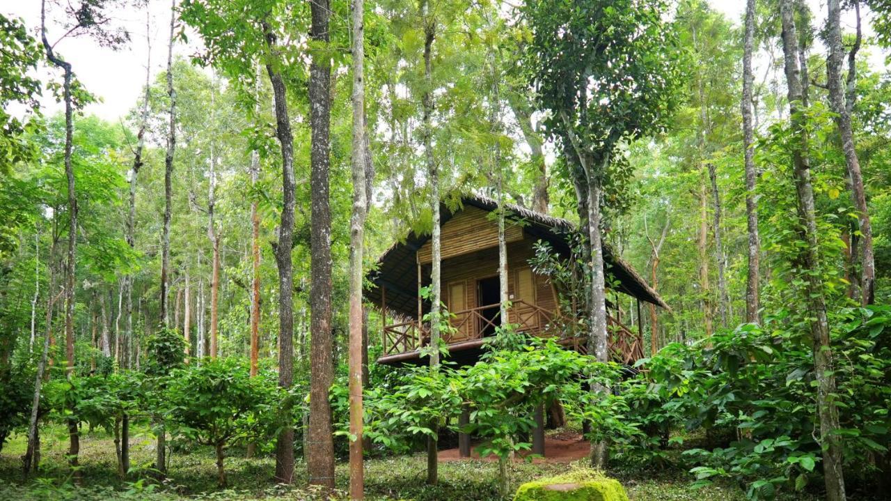 Adrak Mountain Mist Forest Resort Pulpally Extérieur photo