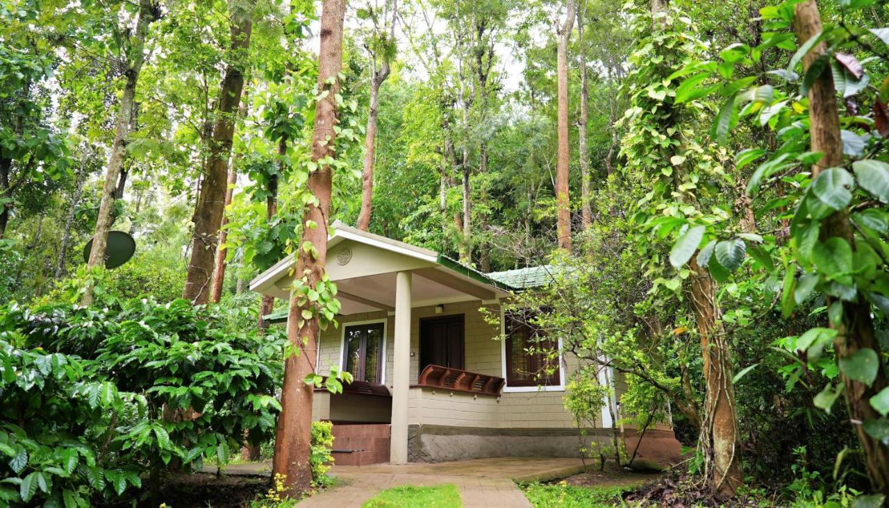 Adrak Mountain Mist Forest Resort Pulpally Extérieur photo