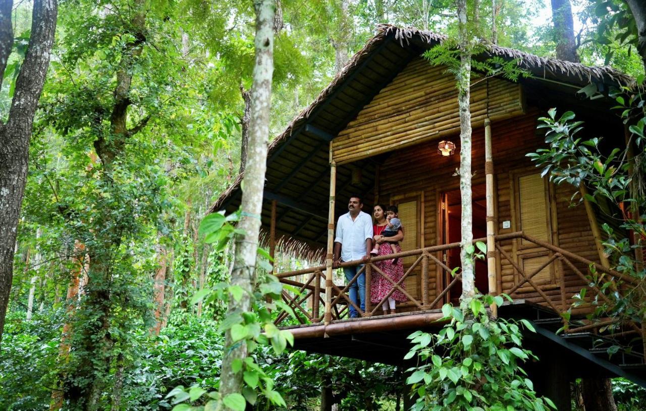Adrak Mountain Mist Forest Resort Pulpally Extérieur photo