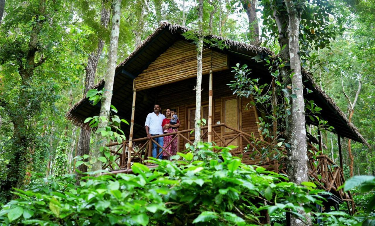 Adrak Mountain Mist Forest Resort Pulpally Extérieur photo