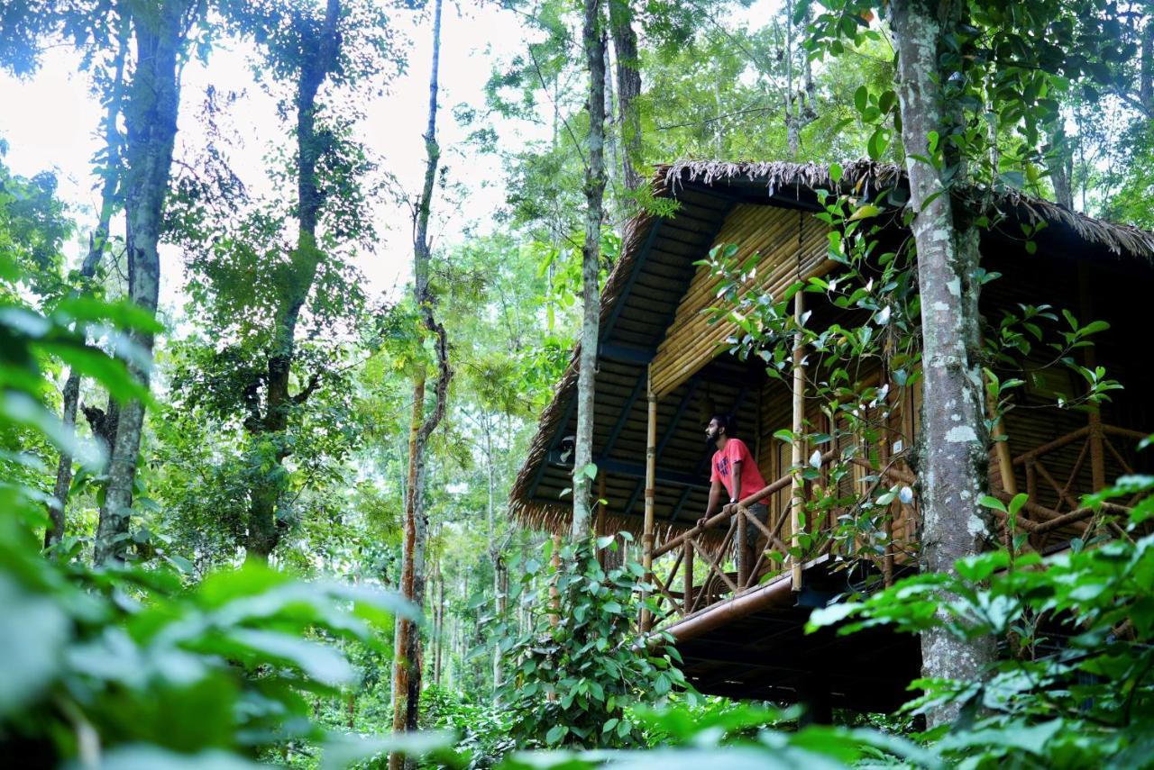 Adrak Mountain Mist Forest Resort Pulpally Extérieur photo