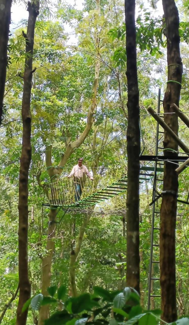 Adrak Mountain Mist Forest Resort Pulpally Extérieur photo